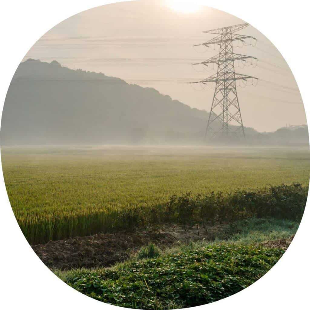 Fiscalização ambiental para passagem de linha de energia